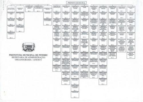 Estrutura Organizacional
