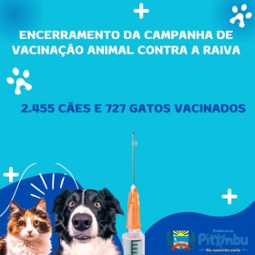 Imagem de destaque