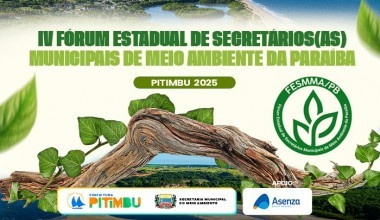Imagem de destaque